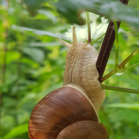 Inhaltsbild: Berufung – Nr.14