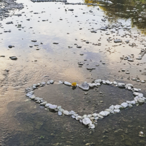 Inhaltsbild: Berufung - Nr.3